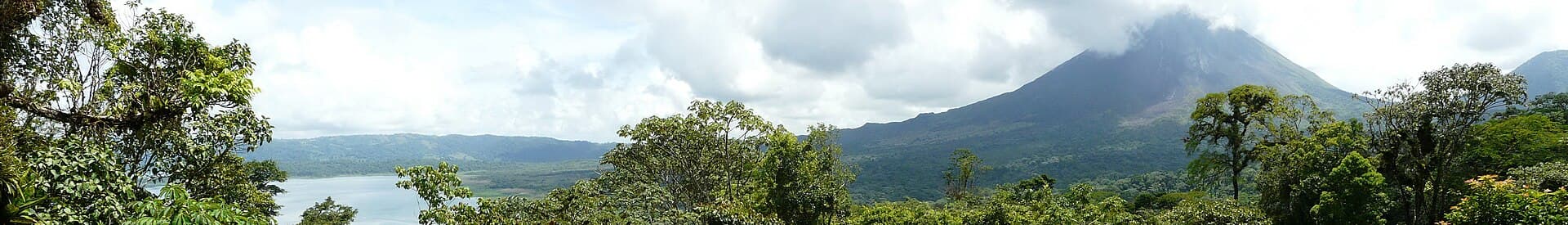Jungle Panorama