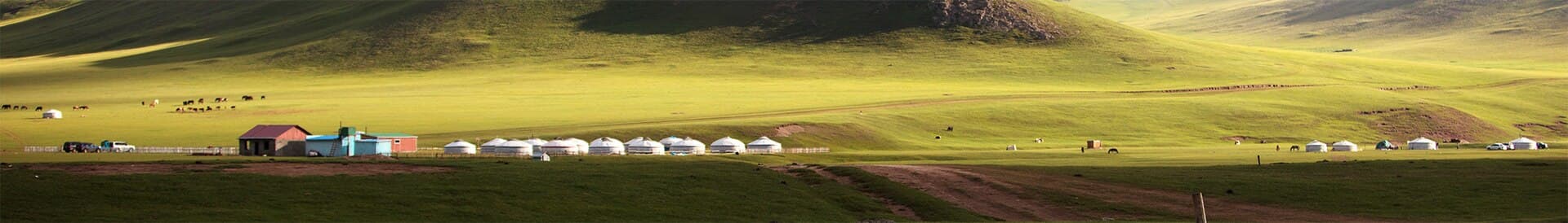 Mongolian landscape