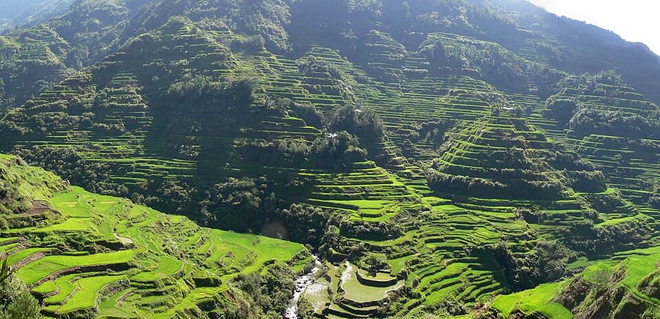 Banaue Rice Terraces