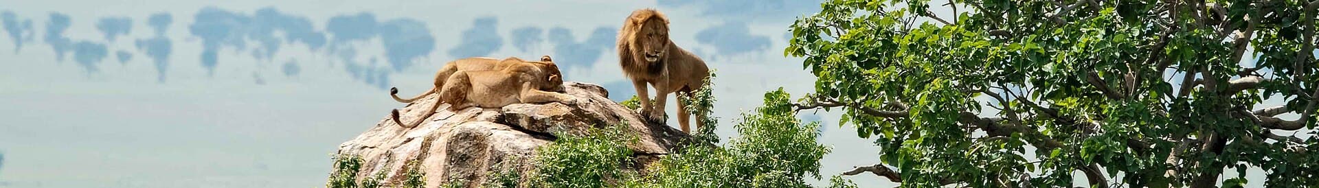 A view of Uganda